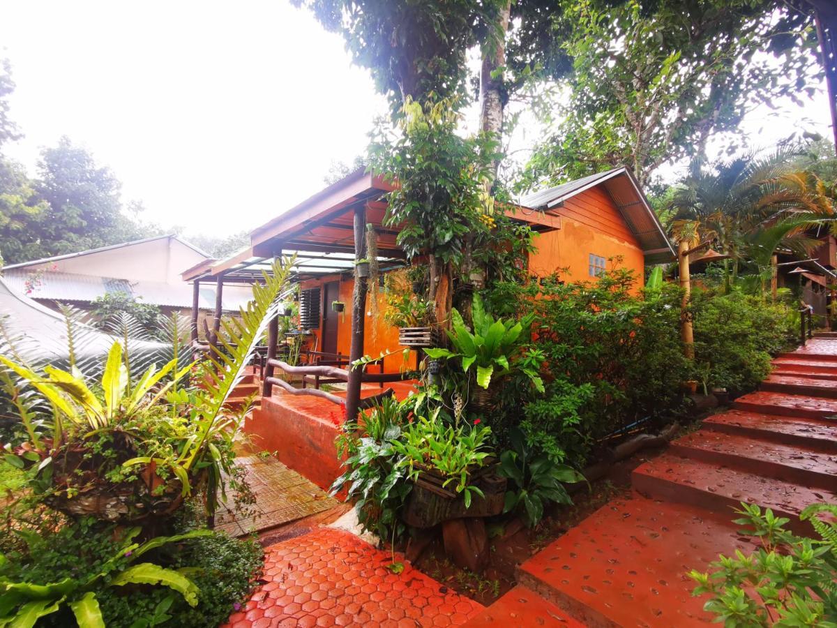 บ้านดินโฮมสเตย์ ปางอุ๋ง Ban Huai Makhuea Som Ngoại thất bức ảnh