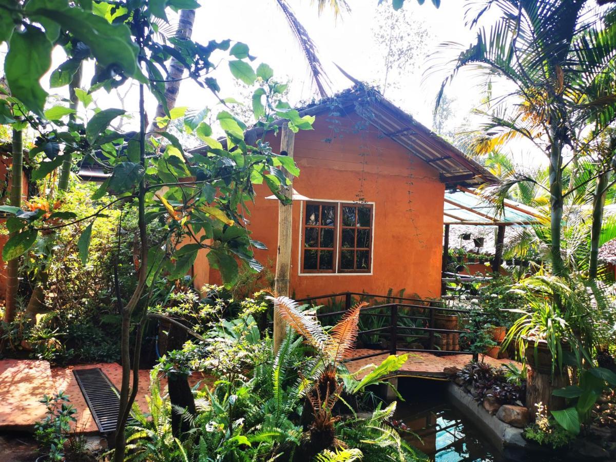 บ้านดินโฮมสเตย์ ปางอุ๋ง Ban Huai Makhuea Som Ngoại thất bức ảnh
