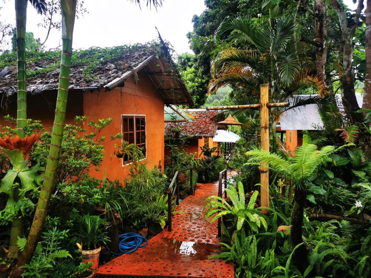 บ้านดินโฮมสเตย์ ปางอุ๋ง Ban Huai Makhuea Som Ngoại thất bức ảnh