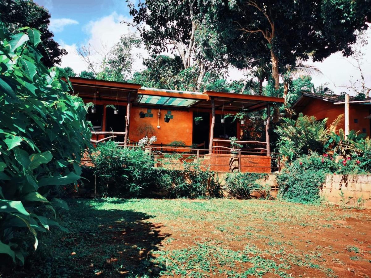บ้านดินโฮมสเตย์ ปางอุ๋ง Ban Huai Makhuea Som Ngoại thất bức ảnh