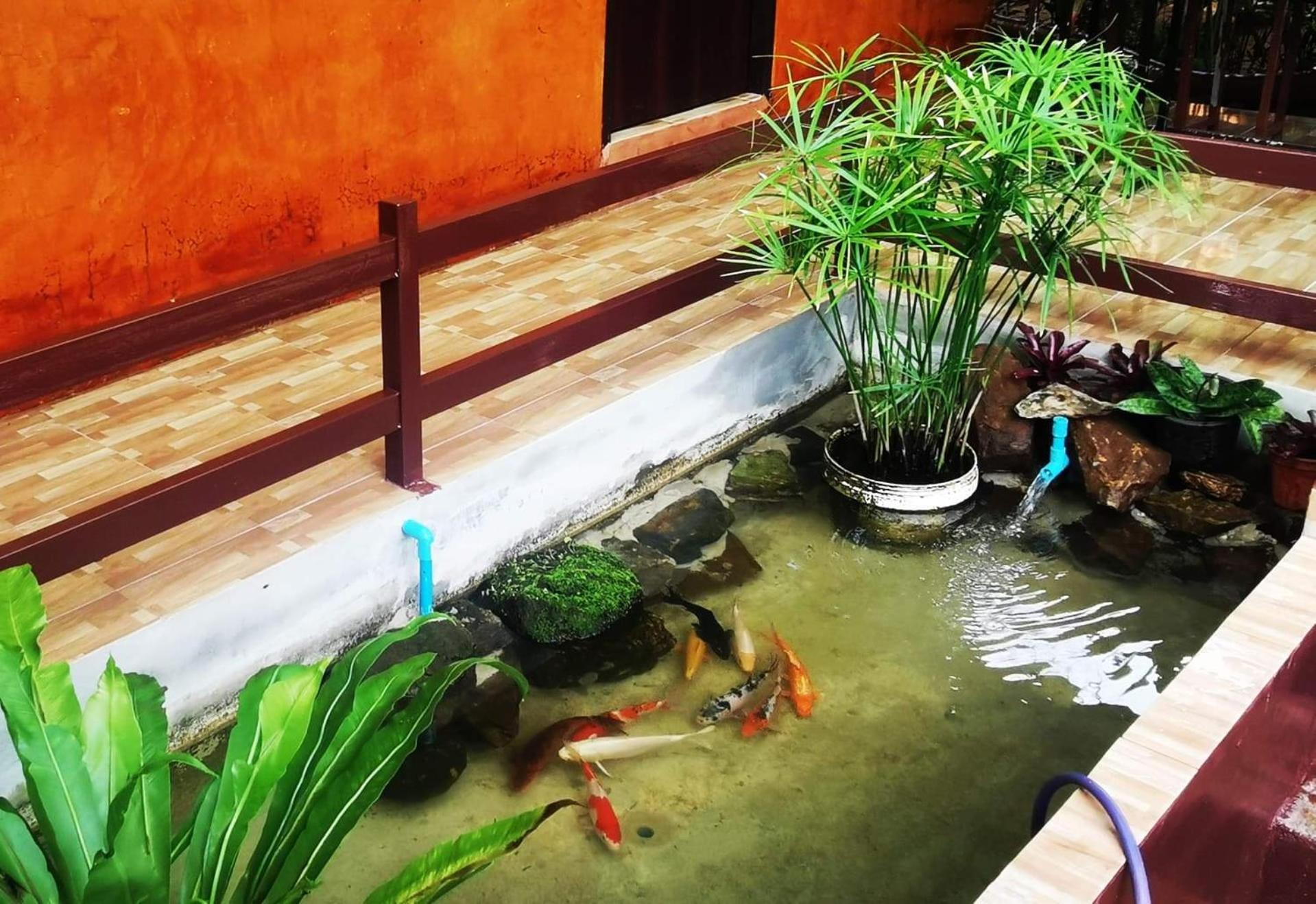 บ้านดินโฮมสเตย์ ปางอุ๋ง Ban Huai Makhuea Som Ngoại thất bức ảnh