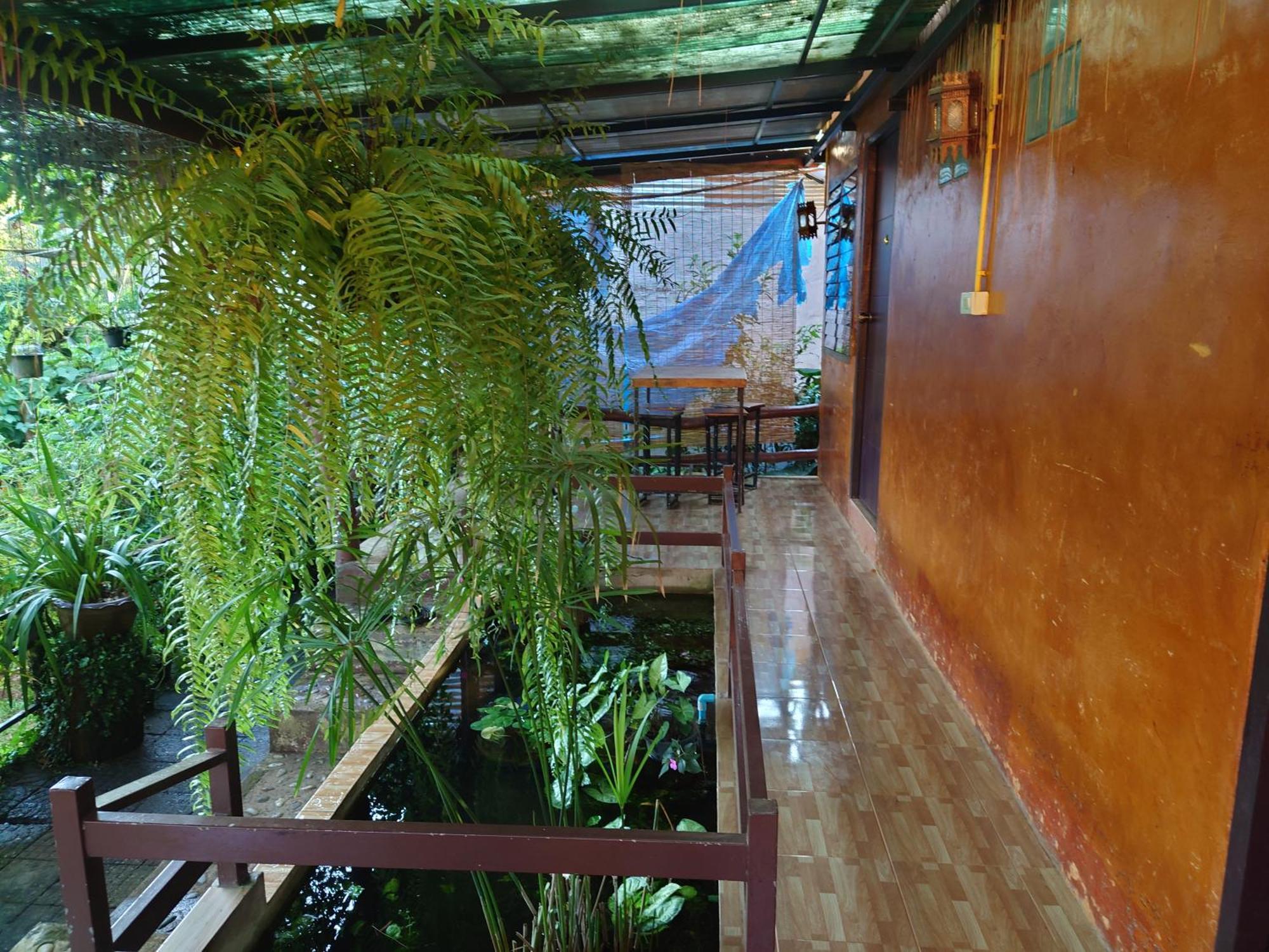 บ้านดินโฮมสเตย์ ปางอุ๋ง Ban Huai Makhuea Som Ngoại thất bức ảnh